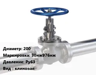 Задвижка нержавеющая 200 30нж976нж Ру63 клиновая